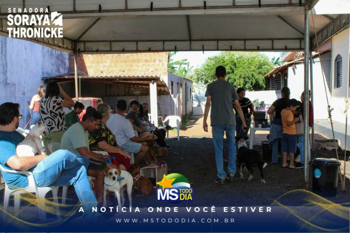 Imagem da Galeria